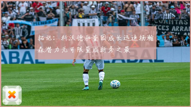 拓记：科沃德和奎因成长迅速杨瀚森潜力无可限量成新秀之最