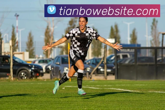 多媒体互动体验