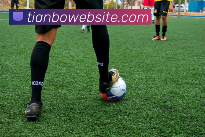 天博体育APP 高清赛事图